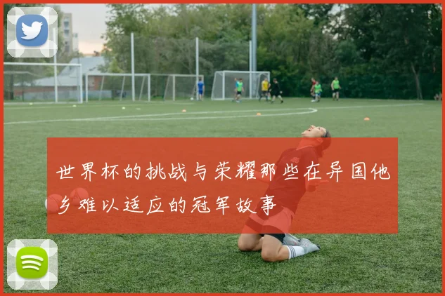 世界杯的挑战与荣耀那些在异国他乡难以适应的冠军故事
