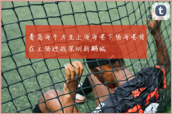 青岛海牛力克上海海港下场海港将在主场迎战深圳新鹏城