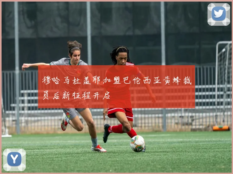 穆哈马杜盖耶加盟巴伦西亚黄蜂裁员后新征程开启